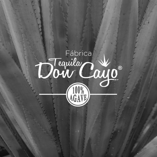 Fabrica de Tequila Don Cayo